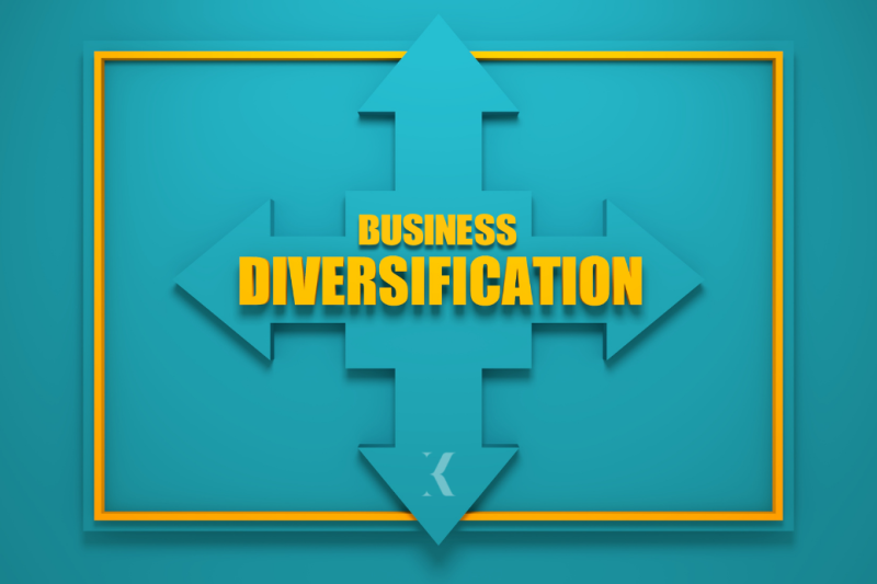 Business Diversification: Why It Is Important?